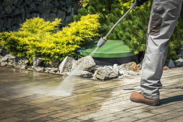Best Playground Equipment Cleaning  in Binghamton University, NY
