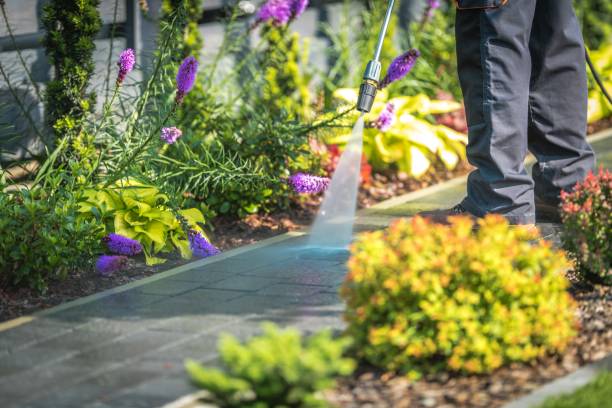 Best Pre-Holiday Cleaning  in Binghamton University, NY